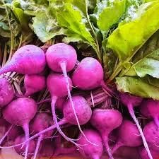 Rainbow Radish Seeds for Planting Purple - 100 Pcs pcs