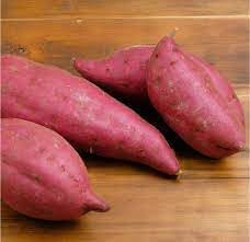 Sweet Potato Seeds for Vegetable Planting - heirloom & Non GMO Seeds