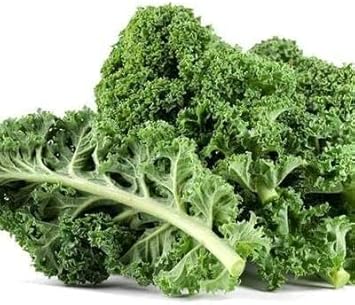 Siberian Kale Seeds for Planting - 100 Pcs pcs