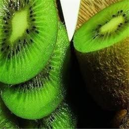 Green kiwi Actinidia deliciosa fruit seeds