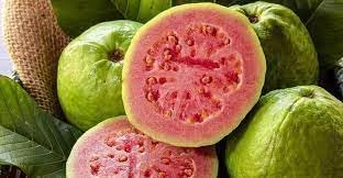 Guava fruit seeds