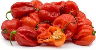 Scotch Bonnet Pepper Seeds for Gardening, 100 Pcs pcs