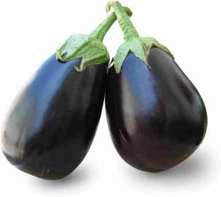 Floriculture Greens 'Big Gajraj' Eggplant Seeds for Home Gardening - 100 Pcs pcs