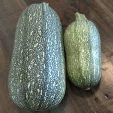 Grey Zucchini Squash Vegetable Seeds for Planting - heirloom & Non-GMO Garden Seeds