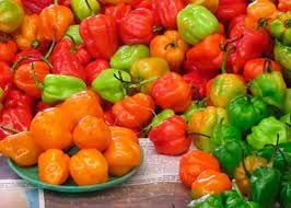 Sweet Pepper Vegetable Seeds for Planting - 100 Pcs pcs