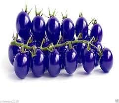 Tomato Seeds for Planting, Dark Blue, 100 Pcs pcs