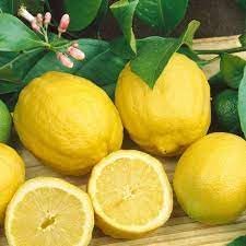 Eureka Lemon Grafted Fruit Seeds for Planting - Delicious Citrus Trees, Heirloom Seeds for Home Garden