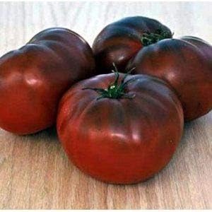 Giant Dark Brown Tomato Vegetable Seeds for Planting – Heirloom, Non-GMO, Rich Flavor