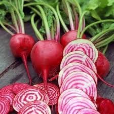 Red Beetroot Beta vulgaris seeds for garden planting