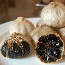 Black Garlic Allium sativum for planting in urban garden