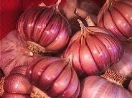 Dark Pink Garlic Seeds for Planting - 100 Pcs pcs