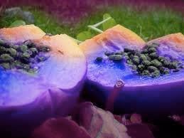 Heidelbeeren Fruit Seeds - Grow Blueberries for a Delicious and Healthy Harvest 100 Pcs pcs