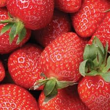 Rare Competition Mango Seeds - Cultivate Trophy-Worthy Tropical Fruits 100 Pcs pcs