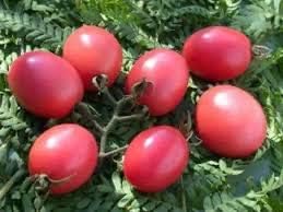 Giant Monster Tomato Seeds for Planting, Pink, 100 Pcs pcs