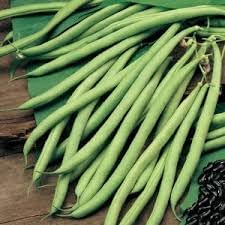 Stringless Bean Vegetable Seeds for Planting - 100 Pcs pcs