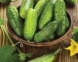 Cucumber Lyalyuk Mini Pickling Vegetable Seeds for Planting - heirloom & Non-GMO Seeds