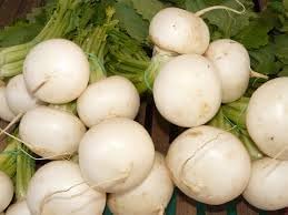 Turnip Shogoin Vegetable Seeds for Planting - heirloom and Non-GMO Garden Seeds