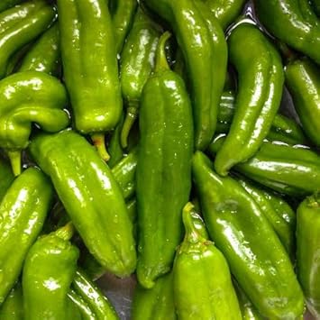 Capsicum Pepper Seeds for Planting heirloom & Non-GMO Seeds