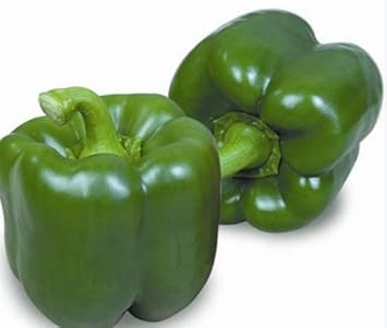 Dark Green Pepper Seeds for Planting - Spicy Variety 100 Pcs pcs