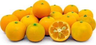 Calamondin Vegetable Seeds for Planting - 100 Pcs pcs