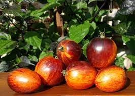 Gargamel Vegetable Seeds for Planting - 100 Pcs pcs