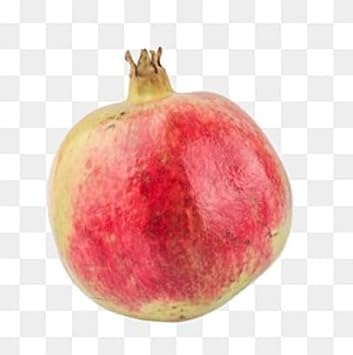 Green Pink Pomegranate Punica granatum seeds for planting in home garden