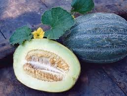 Heirloom melon fruit seeds