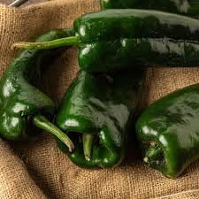 Chile Pepper Capsicum Vegetable Seeds for Planting - heirloom & Non-GMO Seeds