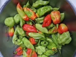 Trinidad Pimento Pepper Seeds for Planting - 100 Pcs pcs