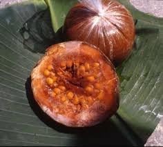 Patinoi Borojoa Seeds for Rare, Exotic Fruit Trees 100 Pcs pcs