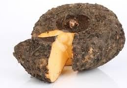 Elephant Foot Yam Plant Seeds for Planting - NON GMO Seeds
