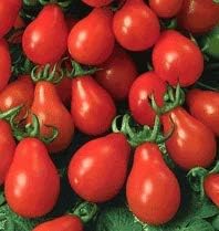 Tomato Seeds for Planting, Red, 100 Pcs pcs