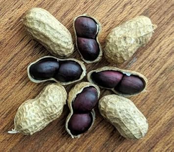 Black Peanut Vegetable Seeds for Planting, heirloom & Non-GMO Seeds