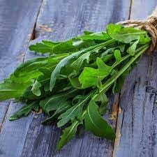 Olivetta Perennial Plant Seeds for Planting, Heirloom, Non-GMO, 100 pcs