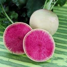 Radish Raphanus sativus seeds for garden planting