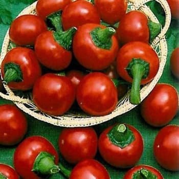 Ciliegia Picante Vegetable Seeds for Planting - 100 Pcs pcs