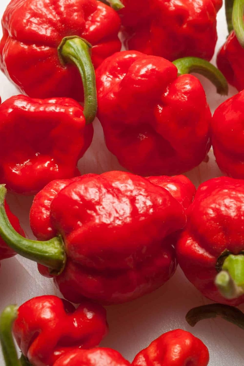 Trinidad Moruga Scorpion Capsicum chinense seeds for planting