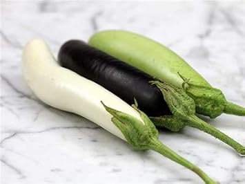 Eggplant Sweet Fruit Seeds for Planting Mixed 100 Pcs pcs
