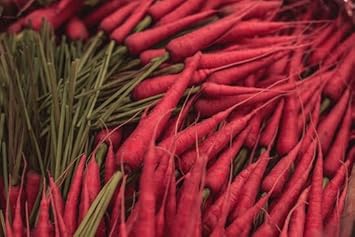 Carrot Vegetable Seeds for Planting - 100 Pcs pcs