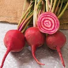 Chioggia Beet Beta vulgaris seeds for garden planting
