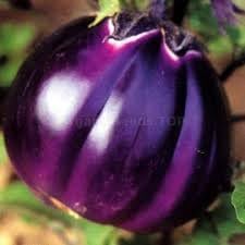 Eggplant Vegetable Seeds for Planting - 100 Pcs pcs