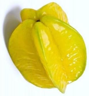 Yellow starfruit Carambola fruit seeds