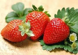 Strawberry Seeds for Planting - Organic, Heirloom, Non-GMO seeds for Home Garden