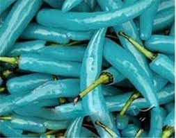 Blue Jolokia Chilli Seeds for Planting heirloom & Non-GMO Seeds