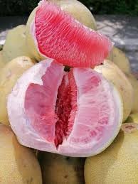 100 Pcspcs Davao Pomelo Fruit Seeds - Unique Citrus Fruit for Home Gardens 100 Pcs pcs