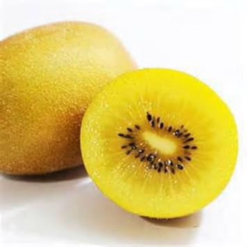 Golden kiwi fruit seeds