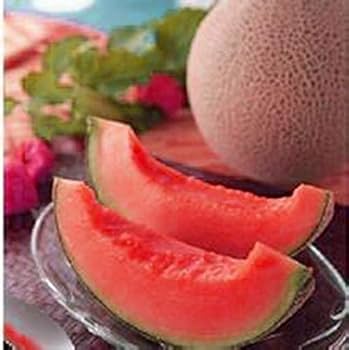 Pink Cantaloupe Cucumis melo seeds for planting in home garden
