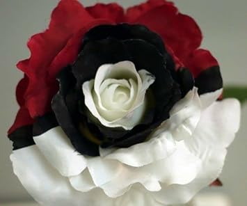 Black Pearl Rose Plant Seeds for Planting Non-GMO Heirloom Garden Seeds for Growing