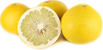 Yellow Pomelo Fruit Seeds for Planting - Large, Juicy Citrus Fruits, Tropical Fruits and Heirloom Seeds