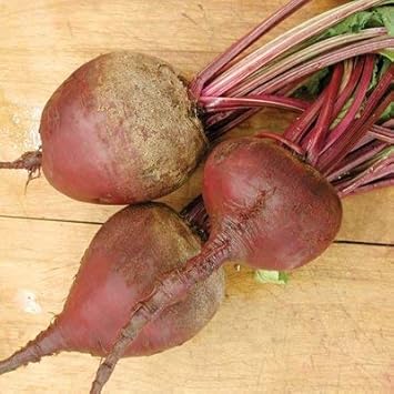 Pink Beetroot Seeds for Planting - 100 Pcs pcs